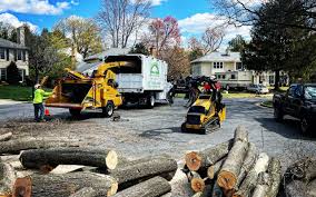 Why Choose Our Tree Removal Services in Deer Lodge, MT?