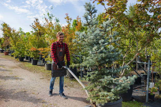 Best Landscape Design and Installation  in Deer Lodge, MT